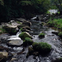 苔むした岩に白く流れる山鶏滝の渓流（福島県平田村）の写真