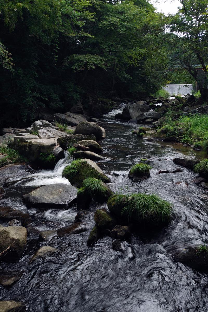苔むした岩の間を流れる山鶏滝の渓流。両岸に緑の樹々が生い茂る