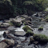 山鶏滝の渓流に流れる水と苔むした岩場の清流風景の写真