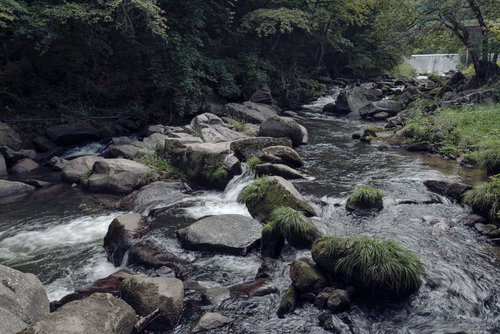 山鶏滝の渓流に流れる水と苔むした岩場の清流風景