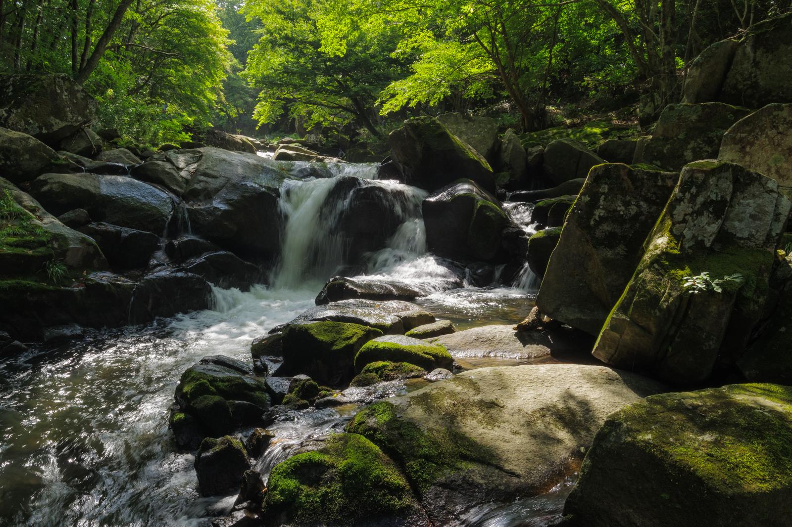 山鶏滝の苔むした岩場を流れる渓流