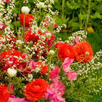 ピンクや白や紫の花が集まる春の花のアレンジメントの写真