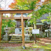 石都々古和気神社の木製鳥居と秋の境内風景の写真