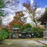 秋色に包まれた石都々古和気神社の境内の風景の写真