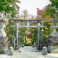 石都々古和気神社の参道に建つ石の鳥居と秋の境内の写真