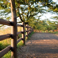 夕暮れのオレンジの空の下に広がる公園の風景の写真