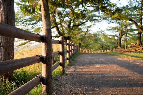 夕暮れのオレンジの空の下に広がる公園の風景