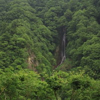 緑に囲まれた山林の岩場を流れ落ちる滝の風景の写真