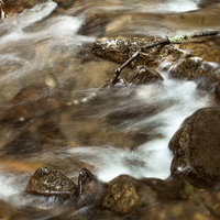 岩の間を流れる渓流の白い水の写真