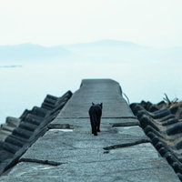 桟橋を歩く黒猫と曇り空の湖の写真