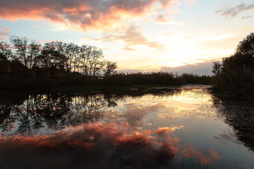 夕焼け空が映り込む穏やかな水面