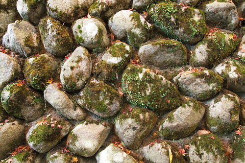 苔が付いた石壁のテクスチャ。古い石材の質感と自然が調和した壁面