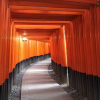 朱色の鳥居が連なる伏見稲荷大社の千本鳥居の写真