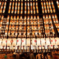 夜空に浮かぶ万灯祭の提灯の列の写真