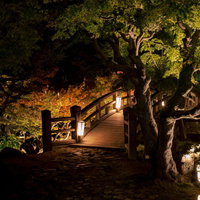 暖色のライトでライトアップされた橋が水面に反射する夜景の写真