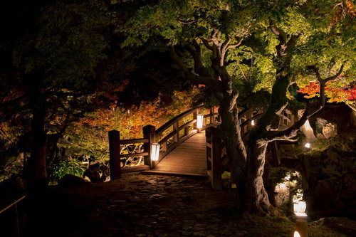 暖色のライトでライトアップされた橋が水面に反射する夜景