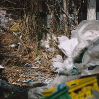 ゴミと枯れ草で埋め尽くされた道路の不法投棄現場の写真
