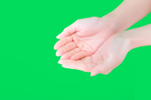 両手でそっと何かをすくう手のグリーンバック撮影の写真