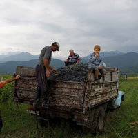 葡萄が山積みのトラック荷台に座る少年の海外風景の写真