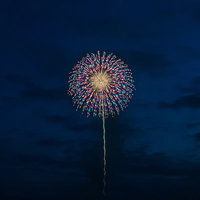 夏の水辺に広がる打上花火の写真