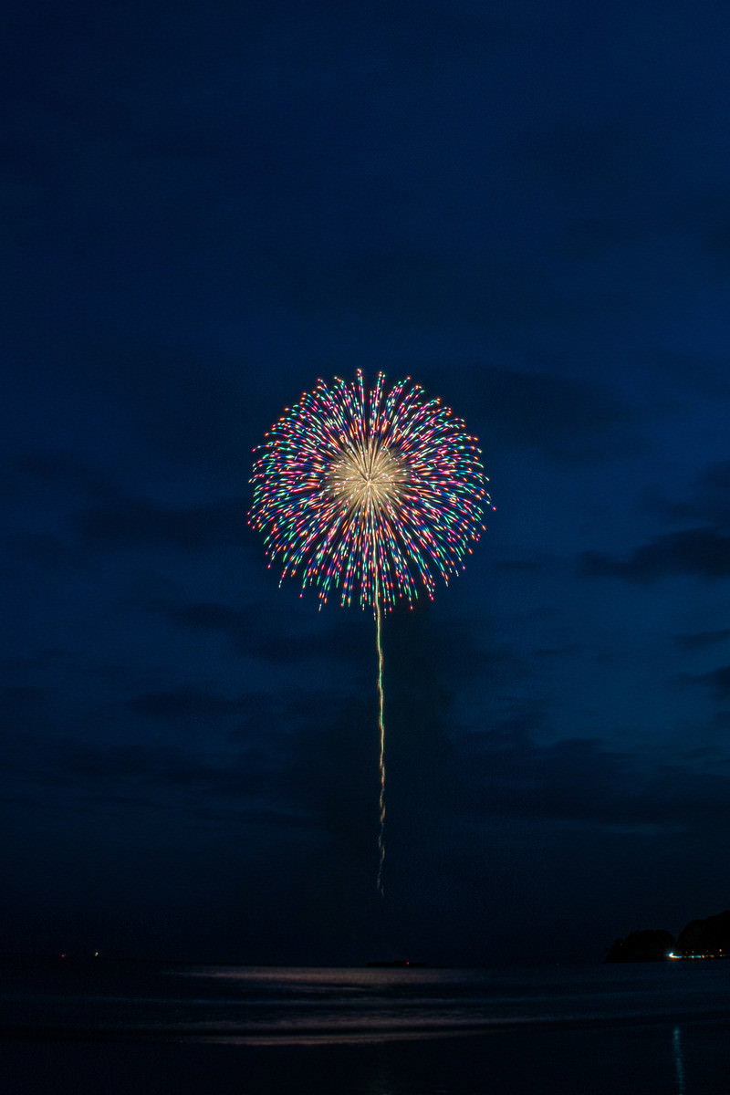 夏の夜空に広がる打上花火