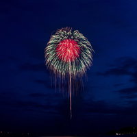 触手のように伸びる打上花火が夜空に大きく開く花火大会の様子の写真