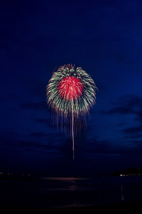 触手のように伸びる打上花火が夜空に大きく開く花火大会の様子