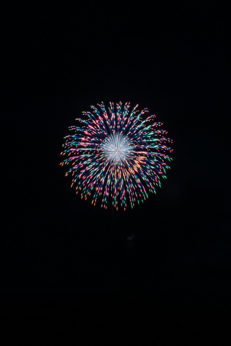夜空に大きく開いた玉虫色の打上花火