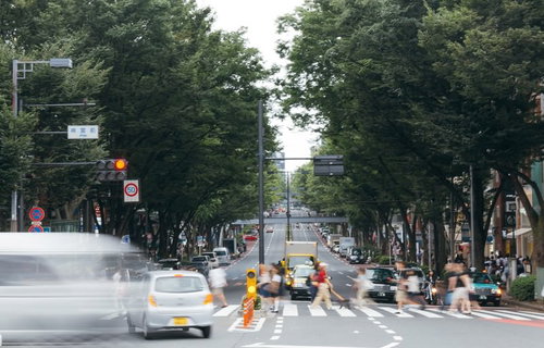 神宮前交差点を渡る人々と樹々に囲まれた都会の横断歩道