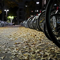 夜の駐輪場に並ぶ自転車の車輪と落ち葉の写真