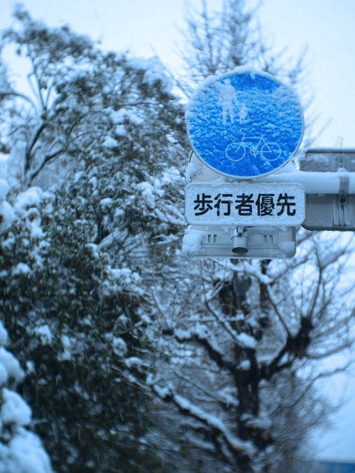 雪に覆われた「歩行者優先」の道路標識