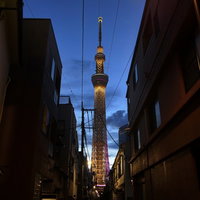 路地の向こうにライトアップされた東京スカイツリーの写真