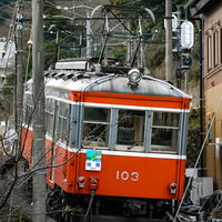 緑豊かな山間の坂を上る箱根登山鉄道の列車の写真