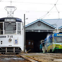 車庫に停車する白い路面電車と青い車両の写真