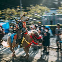 古殿八幡神社例大祭で流鏑馬を披露する騎手と馬の写真