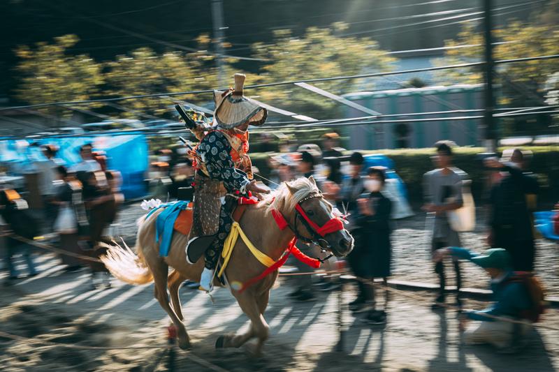 馬のフリー写真素材 - フリー素材ぱくたそ