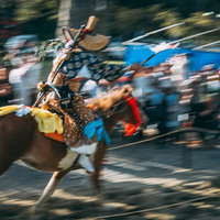 古殿八幡神社の境内で躍動感に満ちた流鏑馬を繰り広げる騎手の写真