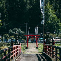 古殿八幡神社の参道に立つ大きな白い鳥居と杉林の写真