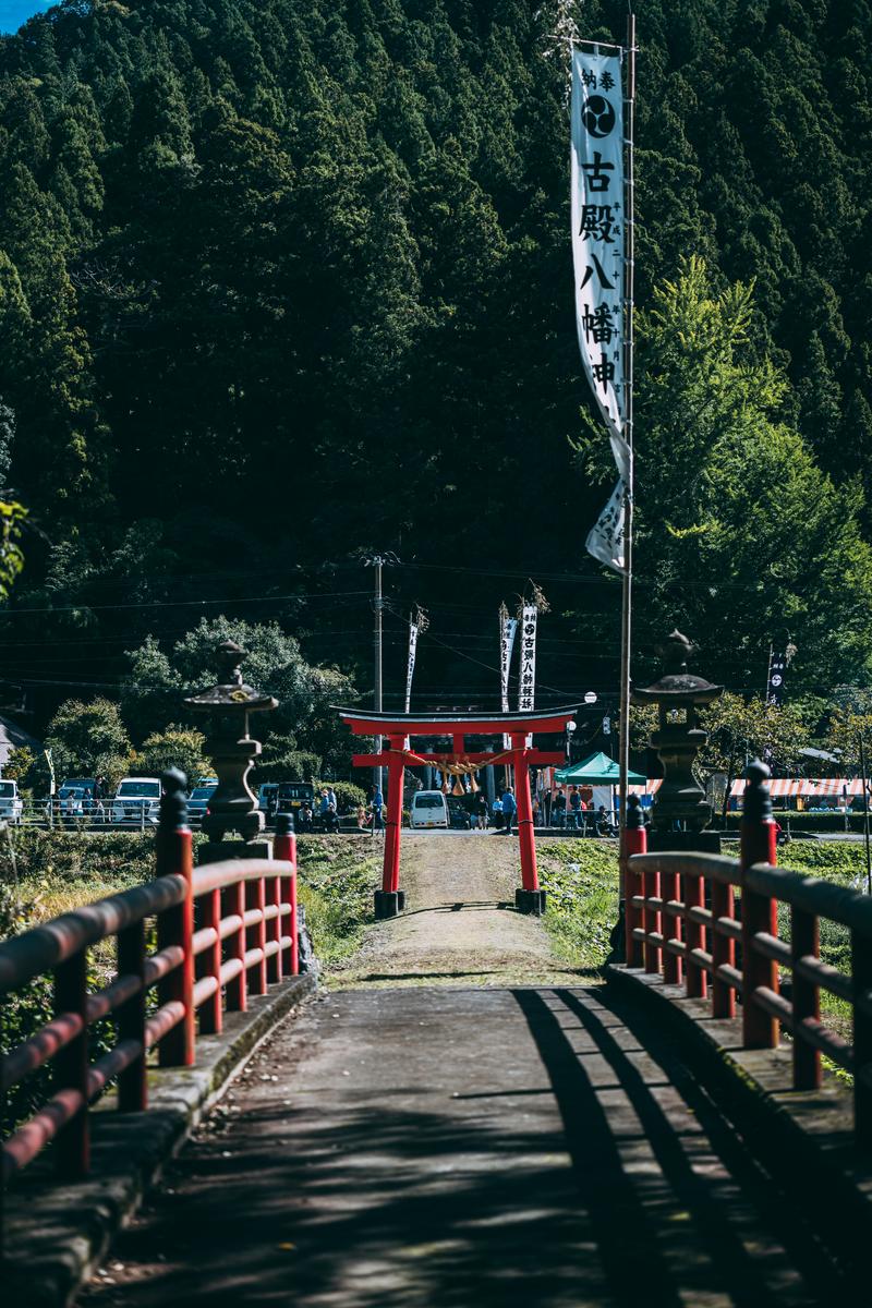 古殿八幡神社の参道にある白い幟が掛かった鳥居と杉林に囲まれた風景
