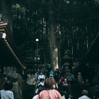 古殿八幡神社の参道に続く参拝客の流れと杉の大木の写真