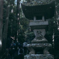 苔むした石段と古殿八幡神社の石灯篭｜福島県古殿町の歴史ある参道の写真
