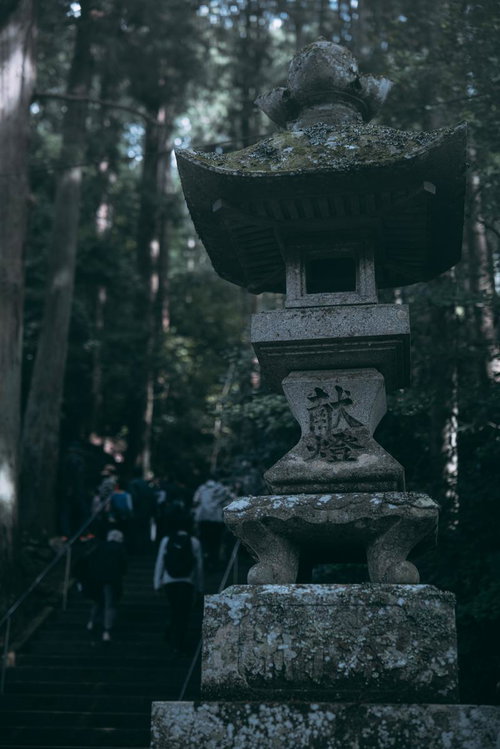 苔むした石段と古殿八幡神社の石灯篭｜福島県古殿町の歴史ある参道