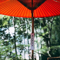 古殿八幡神社の本坪鈴と鈴緒の写真