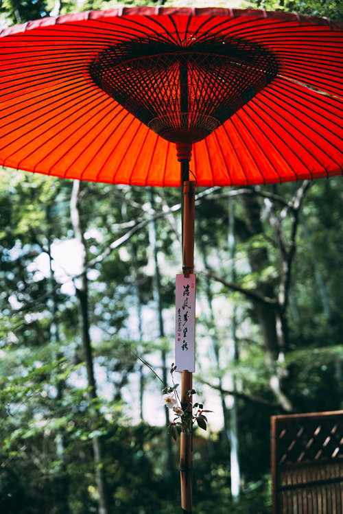 古殿八幡神社の野点傘の下で茶道のおもてなしを体験