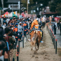 古殿八幡神社の境内で流鏑馬を行う騎手の後ろ姿の写真