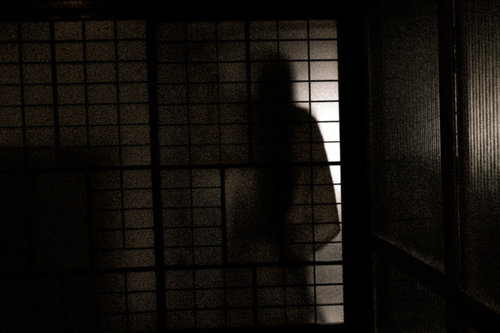 障子越しに浮かぶ亡霊のシルエット、闇に潜む恐怖