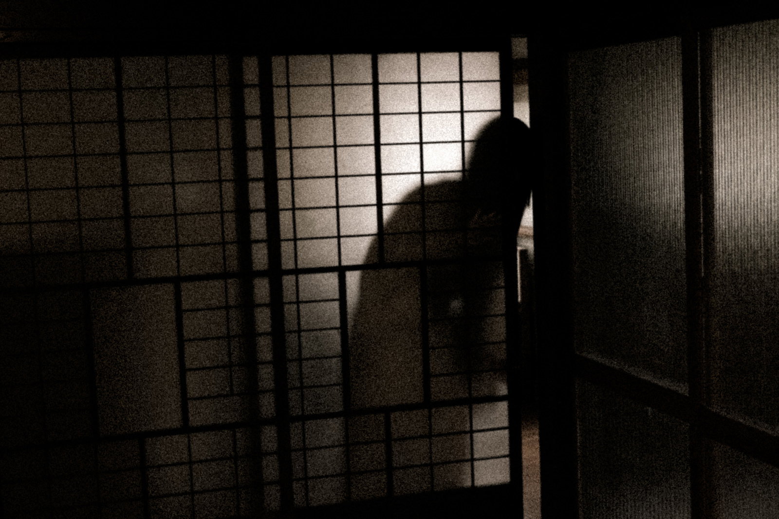 格子窓から暗い室内を覗く女性の黒いシルエット［モデル：緋真煉］