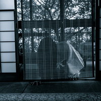 暗闇の障子に映る幽霊のささやき - 怨霊の影の写真