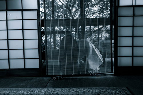 暗闇の障子に映る幽霊のささやき - 怨霊の影