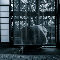 猛暑で竹簾の下から這いずる女性の霊の写真